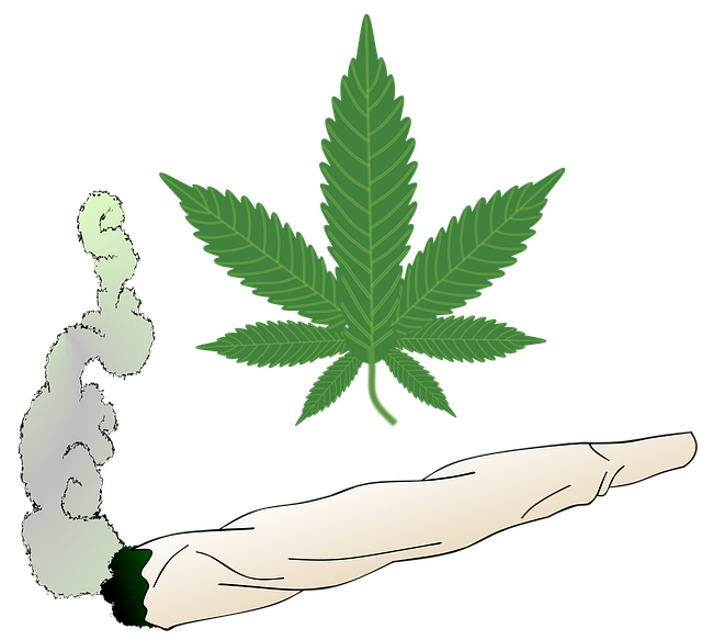 addiction chanvre cannabis