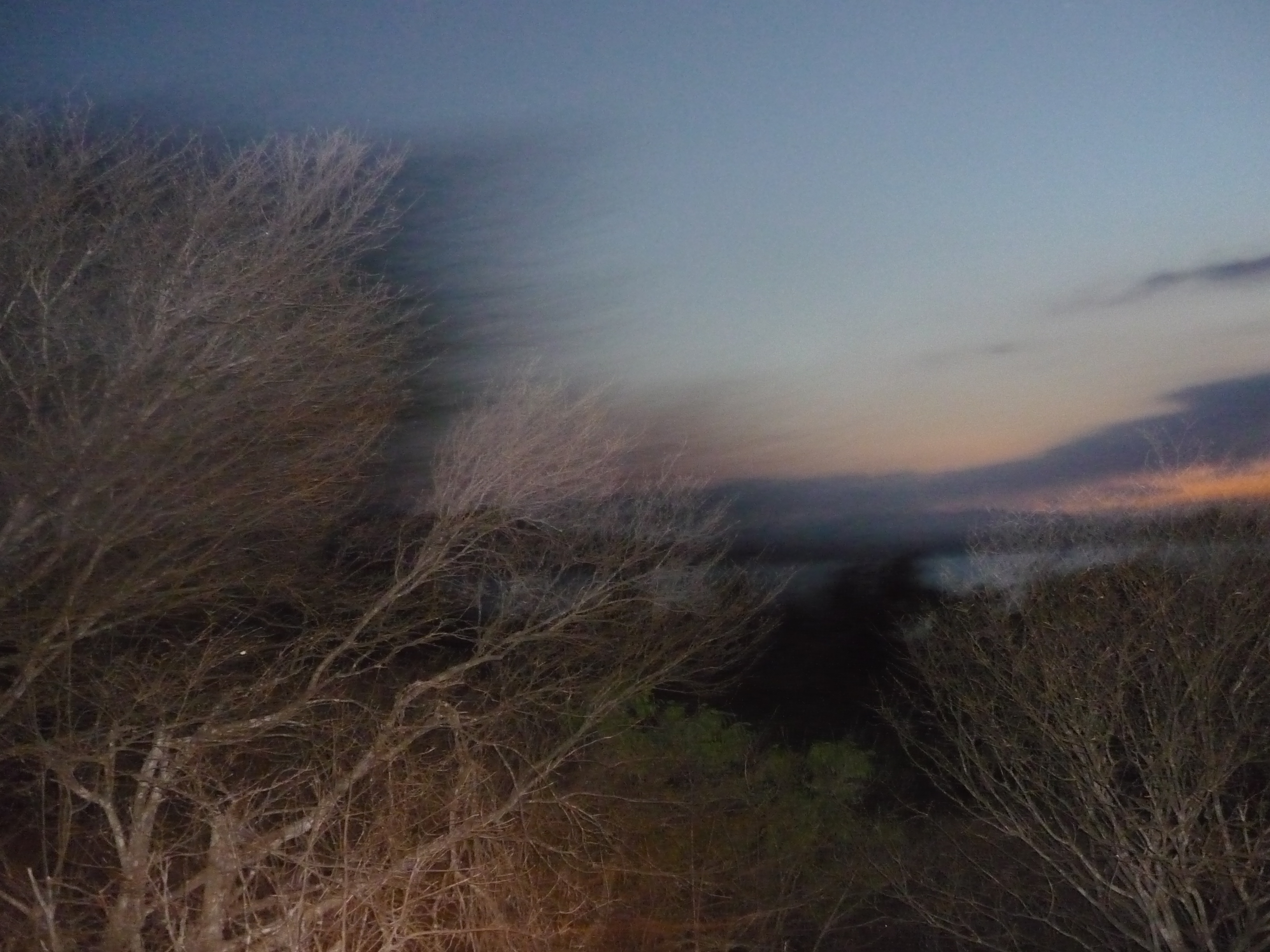 Paysage crépusculaire légèrement flou, comme vu en mouvement