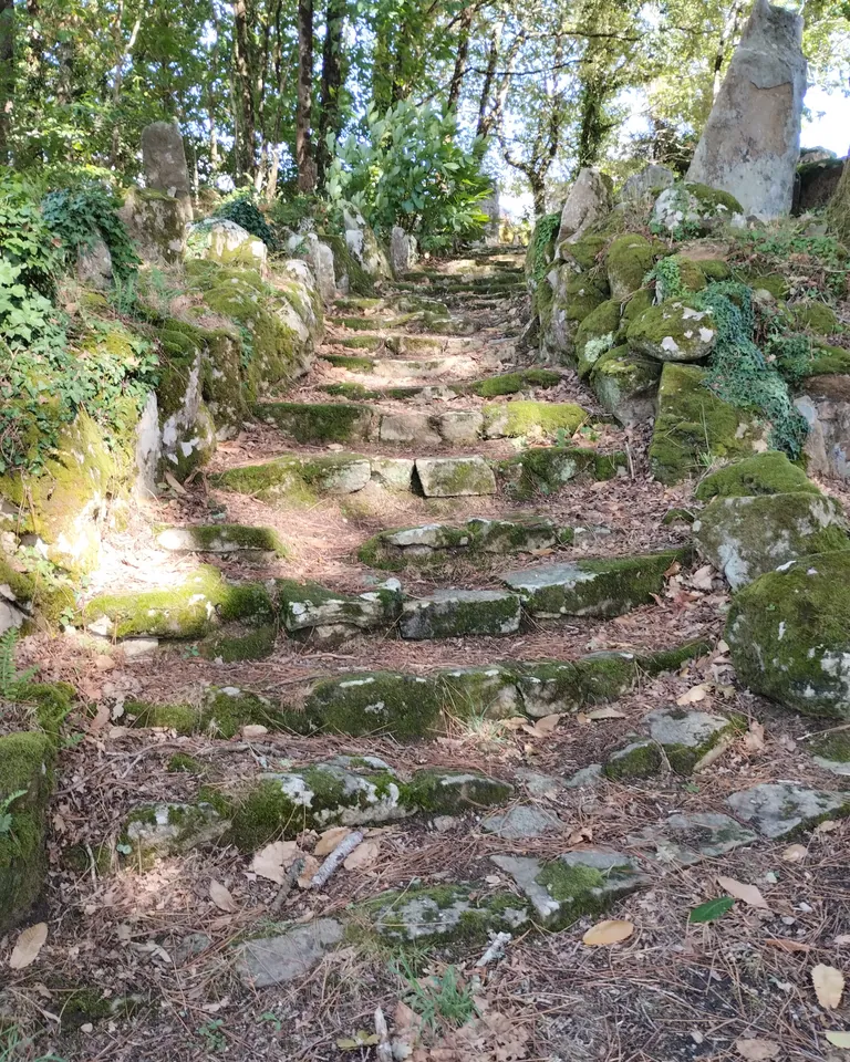 Chemin de pierres moussu qui monte entre les arbres