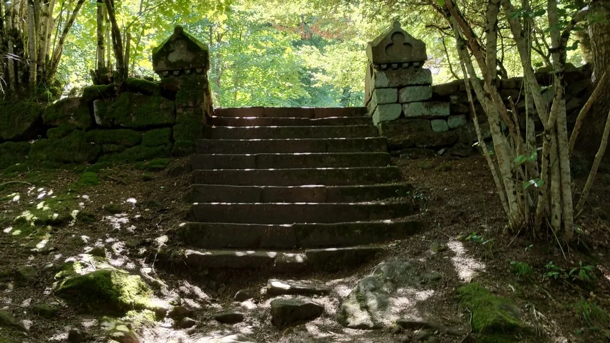 Escalier de pierre montant vers une ouverture lumineuse dans les arbres, image de passage intérieur